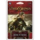 The Lord of the Rings: The Card Game - Riders of Rohan Starter Deck