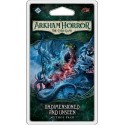 Arkham Horror: The Card Game LCG - Undimensioned and Unseen
