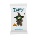 Zálesí: Sváteční poutníci