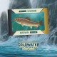 Coldwater Crown