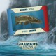 Coldwater Crown